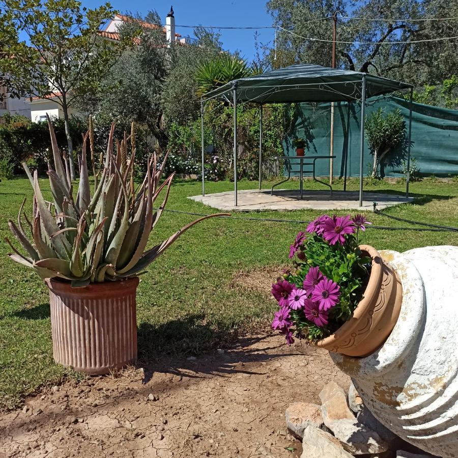 Willa Itea'S Garden House Kirra Zewnętrze zdjęcie